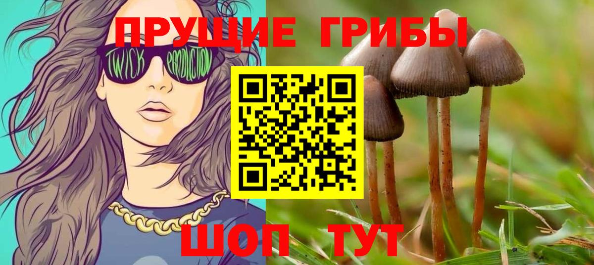 Екатеринбург  Галлюциногенные грибы ЛСД  Вход с VPN 