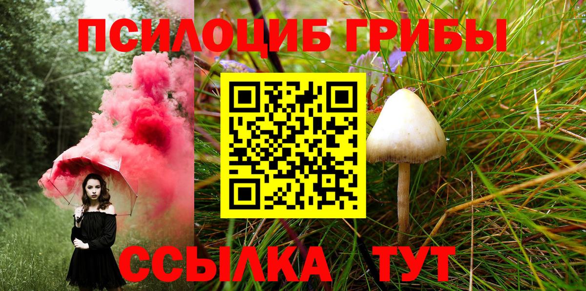 Галлюциногенные грибы Magic Shrooms Екатеринбург